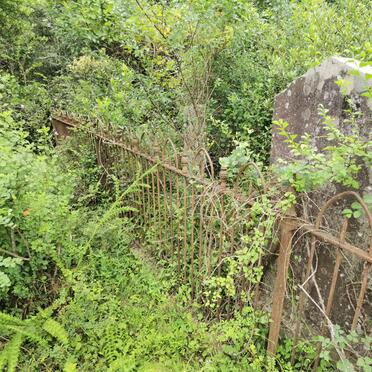 z02. Oorsig / Overview ROSS : ERSKINE family plot