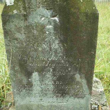 SCHERMBRUCKER Carolina Johanna