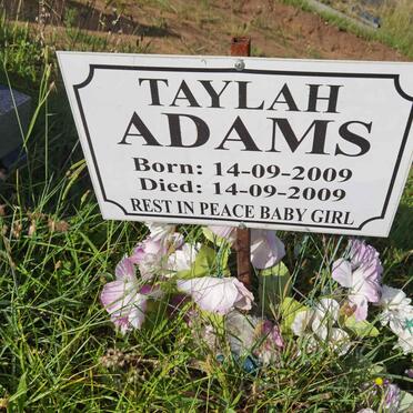 Ad - Surnames starting with the letters Ad