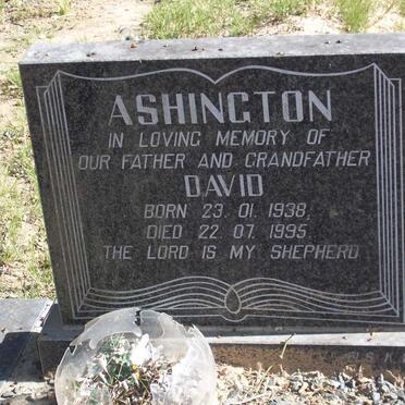 ASHINGTON David 1938-1995