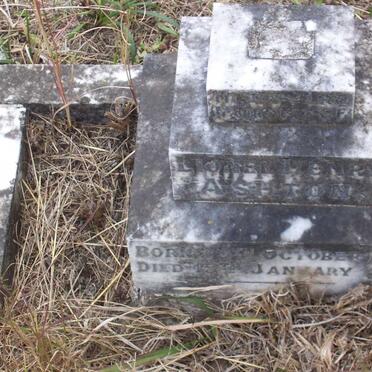 ASHTON Lionel Henry 1919-1920