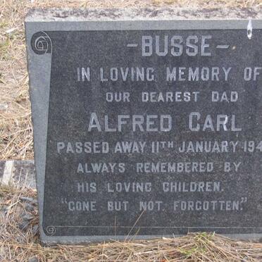 BUSSE Alfred Carl -1949