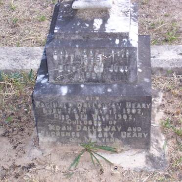 DEARY Reginald Dallaway 1902-1902