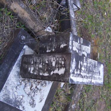 DODD Alice Mary -1934