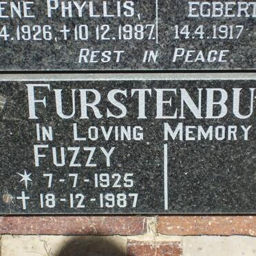 FURSTENBURG Fuzzy 1925-1987