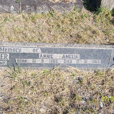 FULLER Annie Amelia 1865-1955