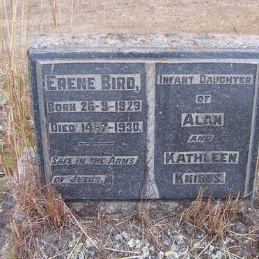KNIBBS Erene Bird 1929-1930