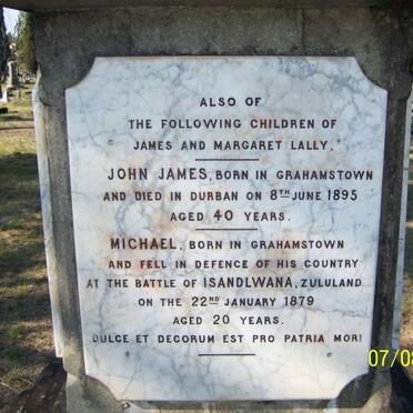 LALLY John James -1895 :: LALLY Michael -1879