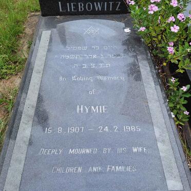 Li - Surnames starting with the letters Li 