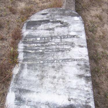 SHANKS John Bailey -1904