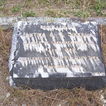 SIKKEMA Jantina A.C. 1893-1920