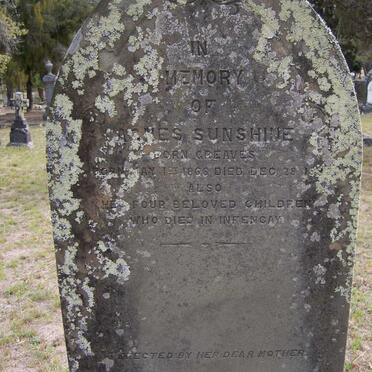 SUNSHINE Agnes nee GREAVES 1866-1928