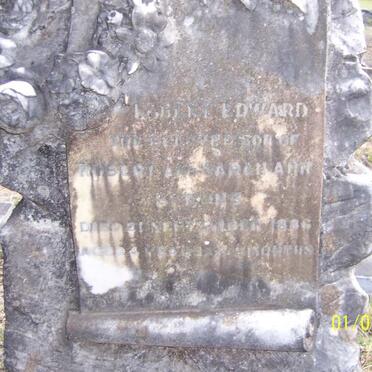 SYMONS Robert Edward -1886