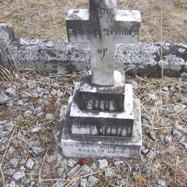 SYMONS Doris Mary -1918