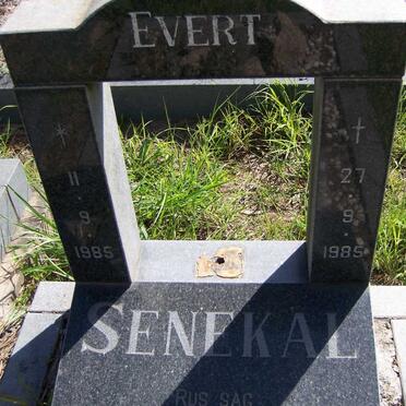 SENEKAL Evert 1985-1985