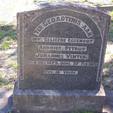 VENTER Andries Petrus Johannes 1879-1951