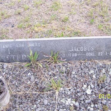 VORSTER Jacobus 1888-1960 &amp; Elsje DE WET 1895-1960