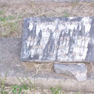 WEBB Alfonso Victor 1886-1912