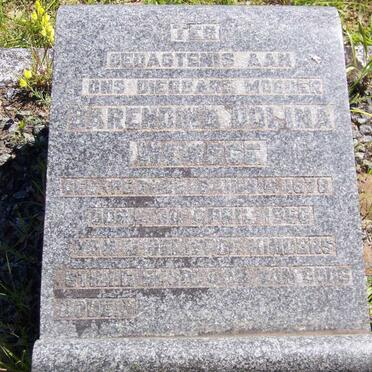 WEWEGE Barendina Dolina nee PETZER 1878-1956