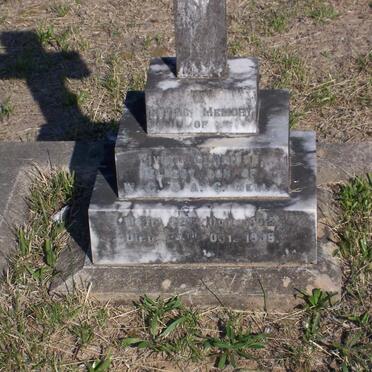 WELLS Vivian Claridge 1902-1905