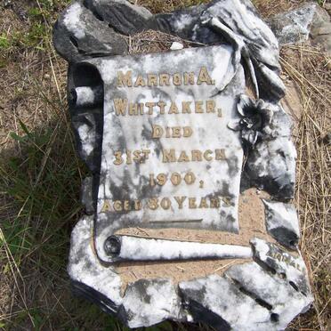 WHITTAKER Marron A. -1900