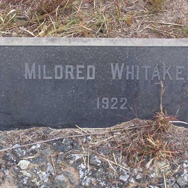 WHITAKER Mildred -1922