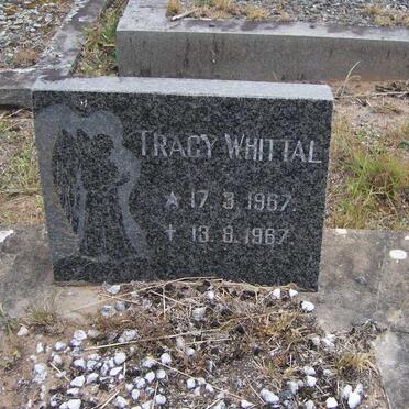 WHITTAL Tracy 1967-1967
