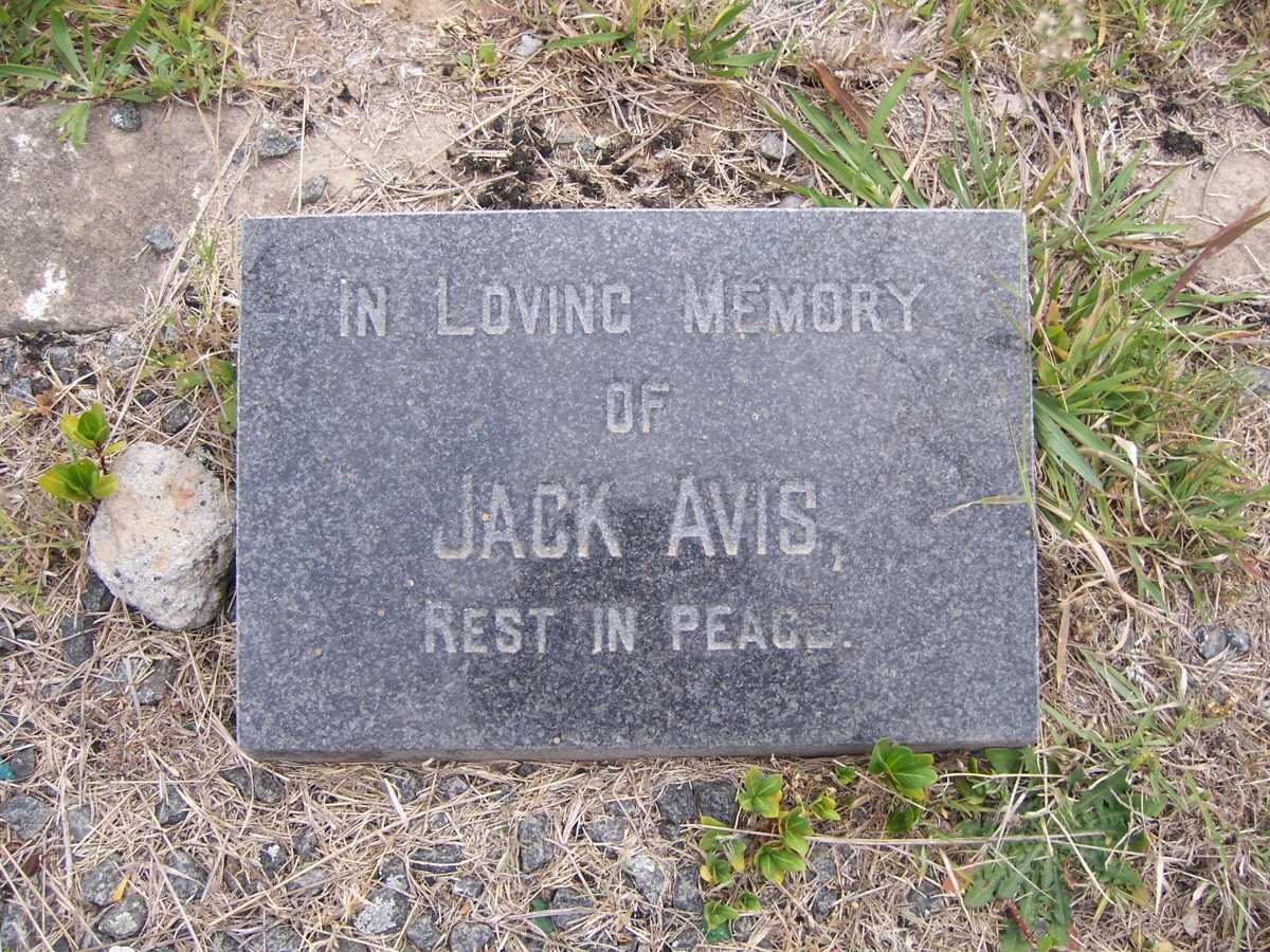 AVIS Jack 