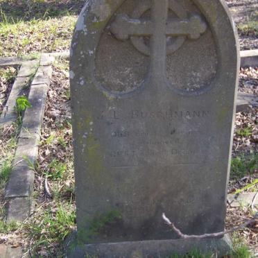 BUSCHMANN J.L. 1827-1885