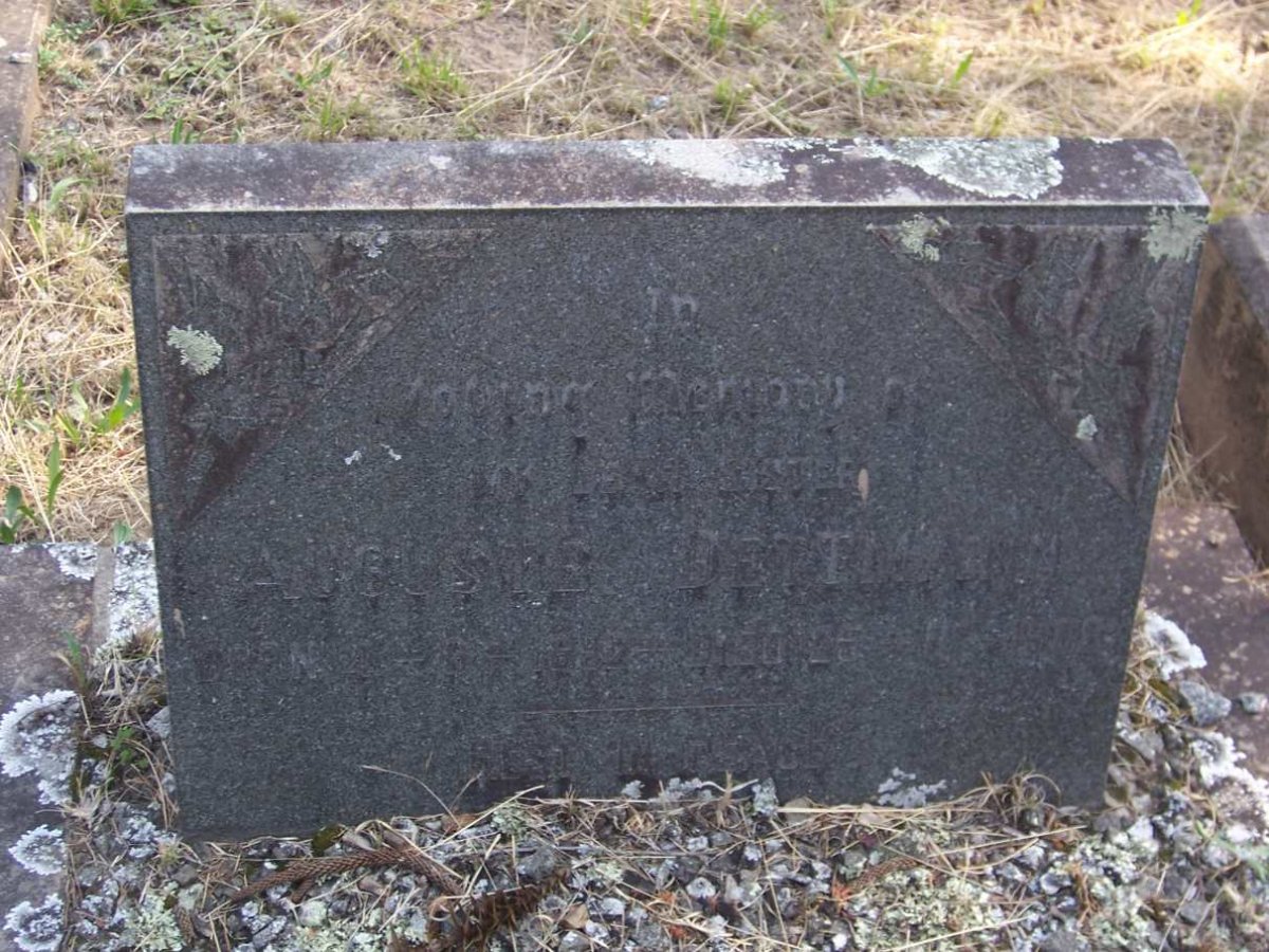 DETTMANN Auguste 1892-1908