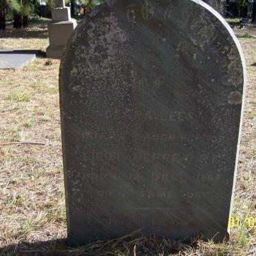 HEPPER Clara Lees 1868-1868
