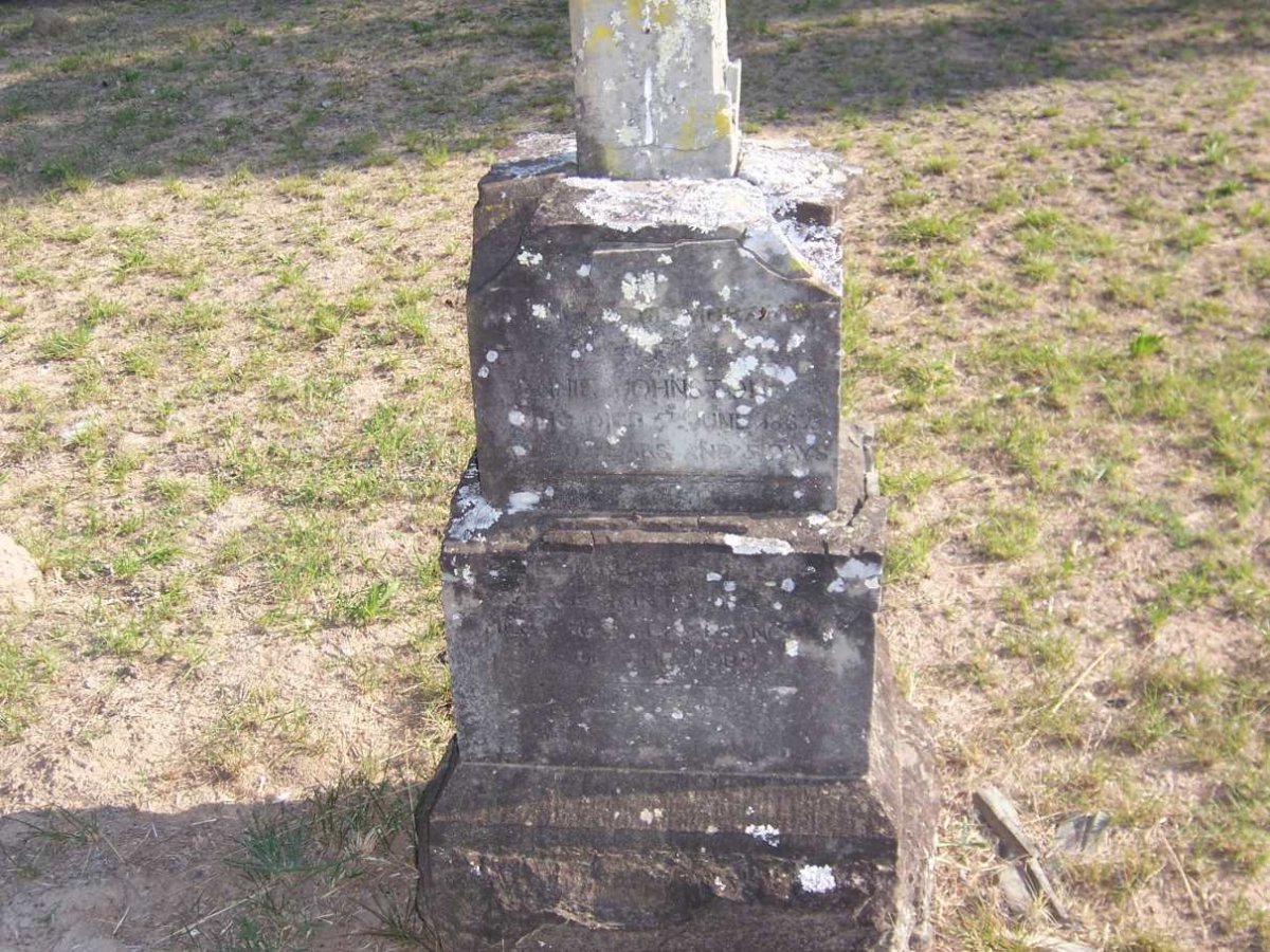 JOHNSTON Annie -1882