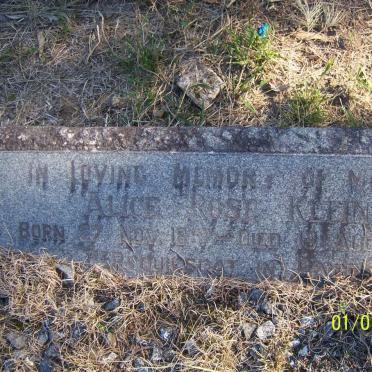 KLEIN Alice Rose 1867-1956
