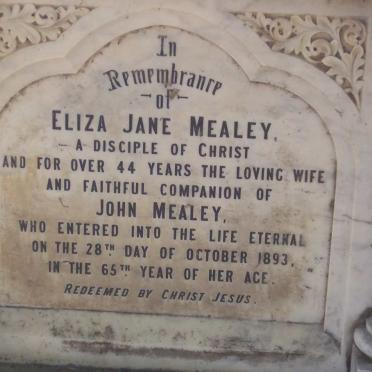 MEALEY Eliza Jane -1893