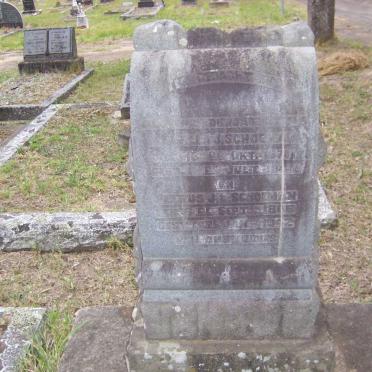 SCHOEMAN Petrus J.L. 1866-1942 :: ? -187?-19??