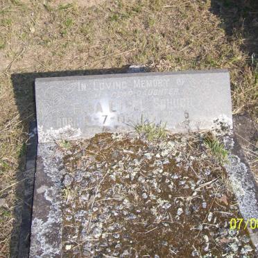SCHUCH Elsa Ethel 1920-1922