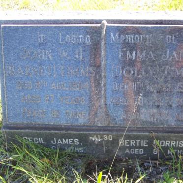 TIMMS John W.H. -1964 &amp; Emma Jane  -1953 :: TIMMS Cecil James :: TIMMS Bertie Morisson