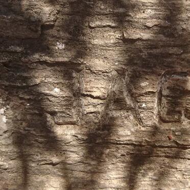 NIVEN Jack Penny Mackie 1892-1985