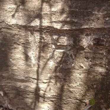 NIVEN Jack Penny Mackie 1892-1985