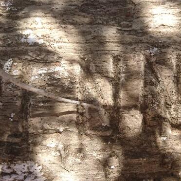 NIVEN Jack Penny Mackie 1892-1985