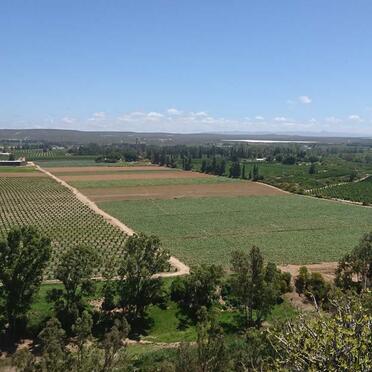 5. Overview / Oorsig