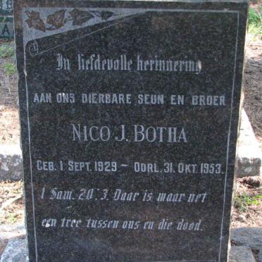 BOTHA Nico J. 1929-1953