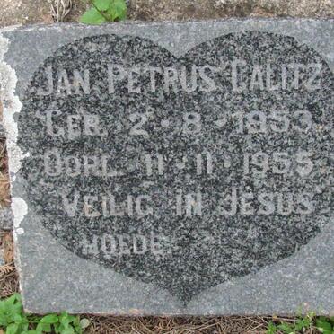 CALITZ Jan Petrus 1953-1955