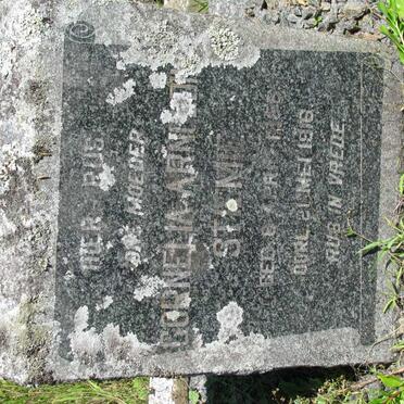 STIEMIE Cornelia Arnoldina 1856-1916