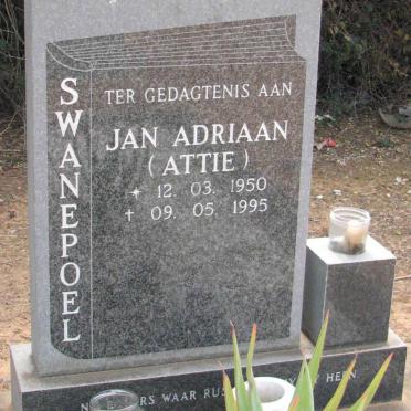 SWANEPOEL Jan Adriaan 1950-1995