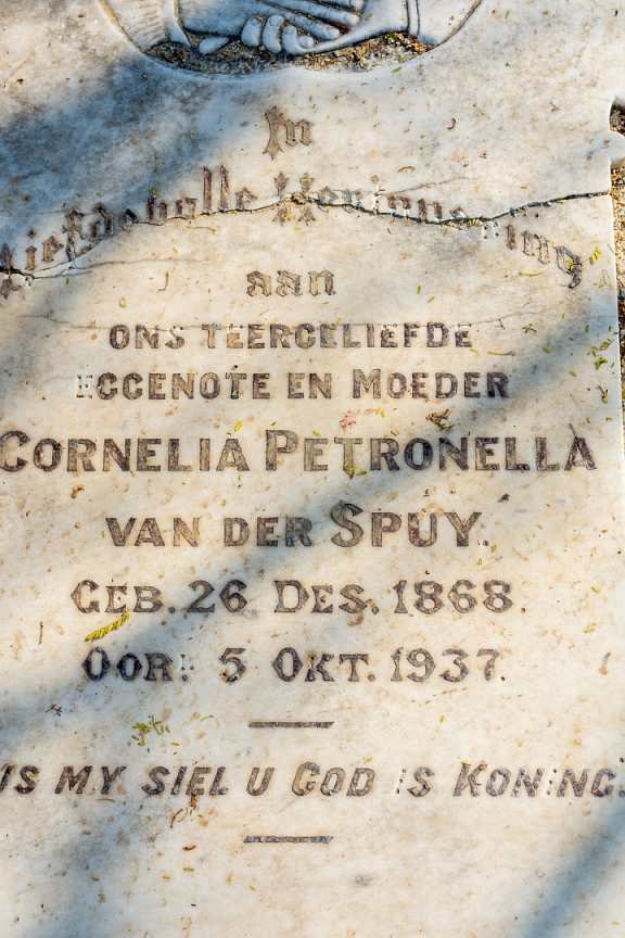SPUY Cornelia Petronella, van der 1868-1937