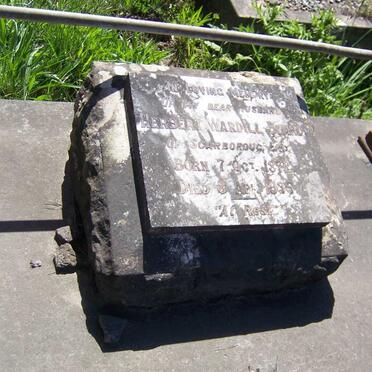 BLAND Herbert Wardill 1872-1935