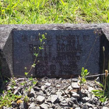 CRONJE Brett 1954-1954