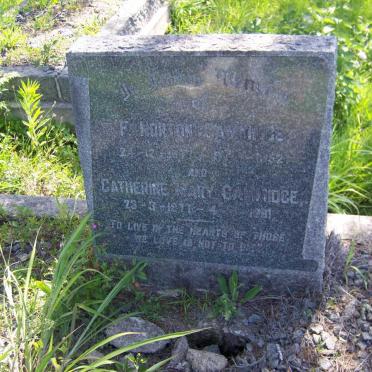 CAMMIDGE F. Norton 1877-1952 &amp; Catherine Mary 1877-1961