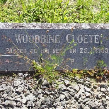 CLOETE Woodbine -1959